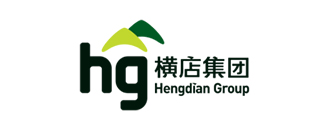 Hengdian Group Dmege Magnetics Co Ltd